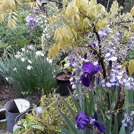 Frühstückspension Oasi Fiorita