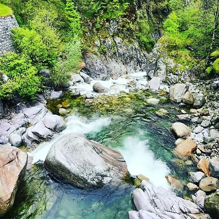 Oasi Fiorita *