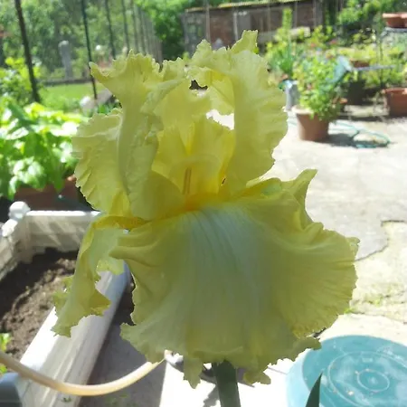 Frühstückspension Oasi Fiorita